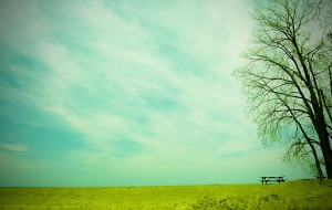 lonely clouds